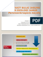 Presentasi No - 3 - 0 - Penyakit Bulai Jagung Dan Ekologi Jamur Peronosclerospora Maydis
