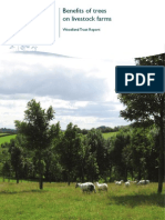 Benefits of trees to livestock farms - evidence report