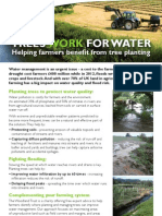 Water Farming Flyer
