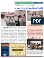 Pravasa Telanganam - NRI Paper - Page13