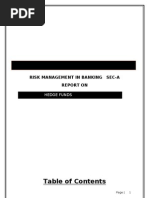 Risk Management Report