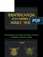 Identification of US ticks