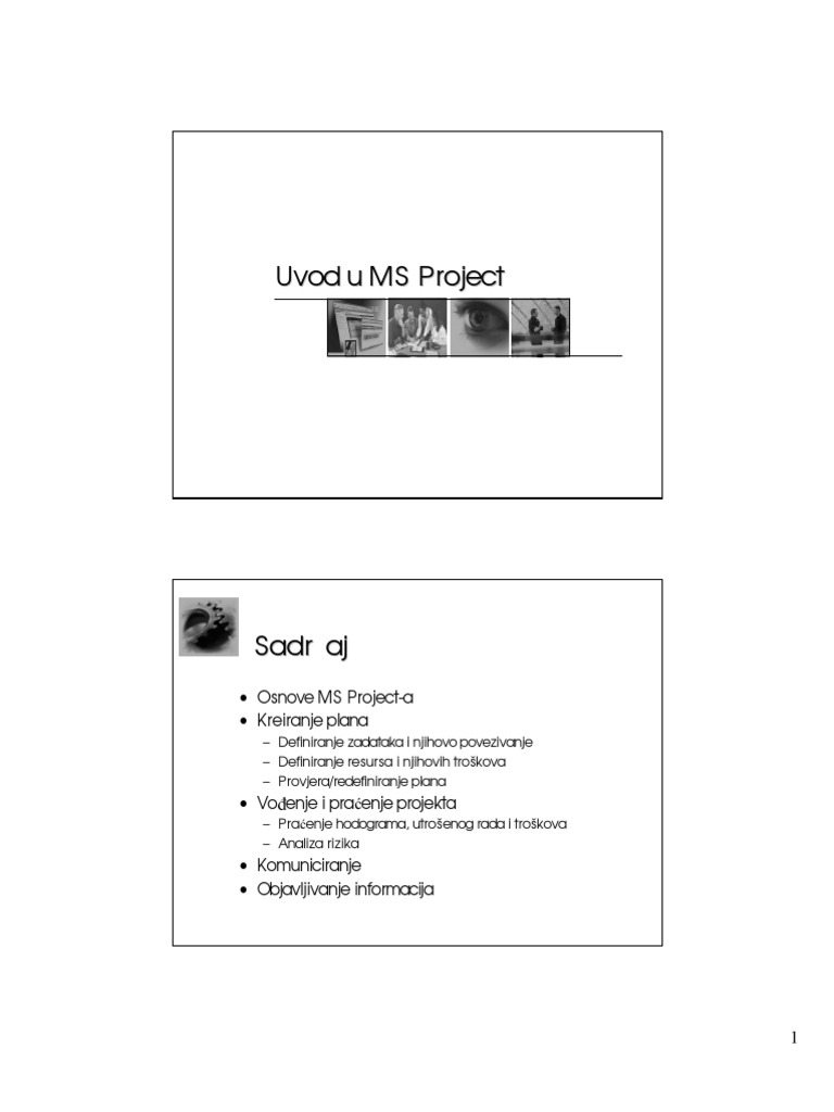 MS Project | PDF