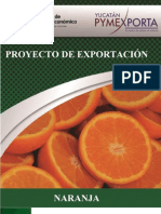 Manual Naranjas