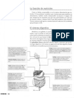 Sistemas de Nutricion