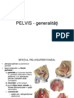 Informatii Pelvis