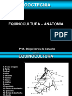 Equinocultura - Resenha