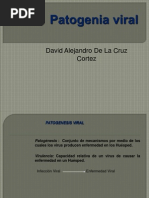 patogenia virica
