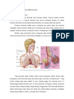 Anatomi Dan Fisiologi Pernapasan (Hanging)