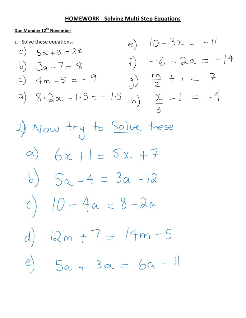 Multi-Step Equation Homework Guide | PDF