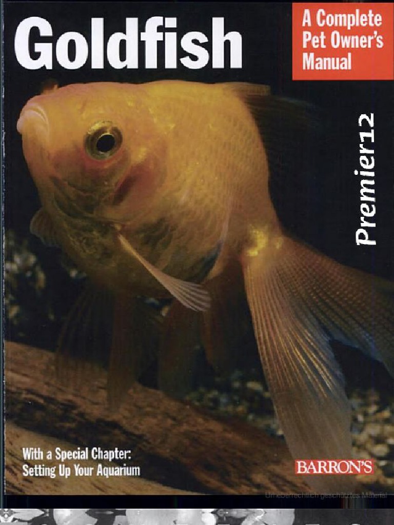 Goldfish Everything About Aquariums, Varieties, Care, Nutrition ...
