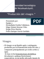 Presentacion Vinagre