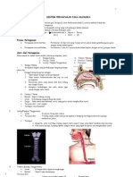 4b Sistem Pernapasan Pada Manusia