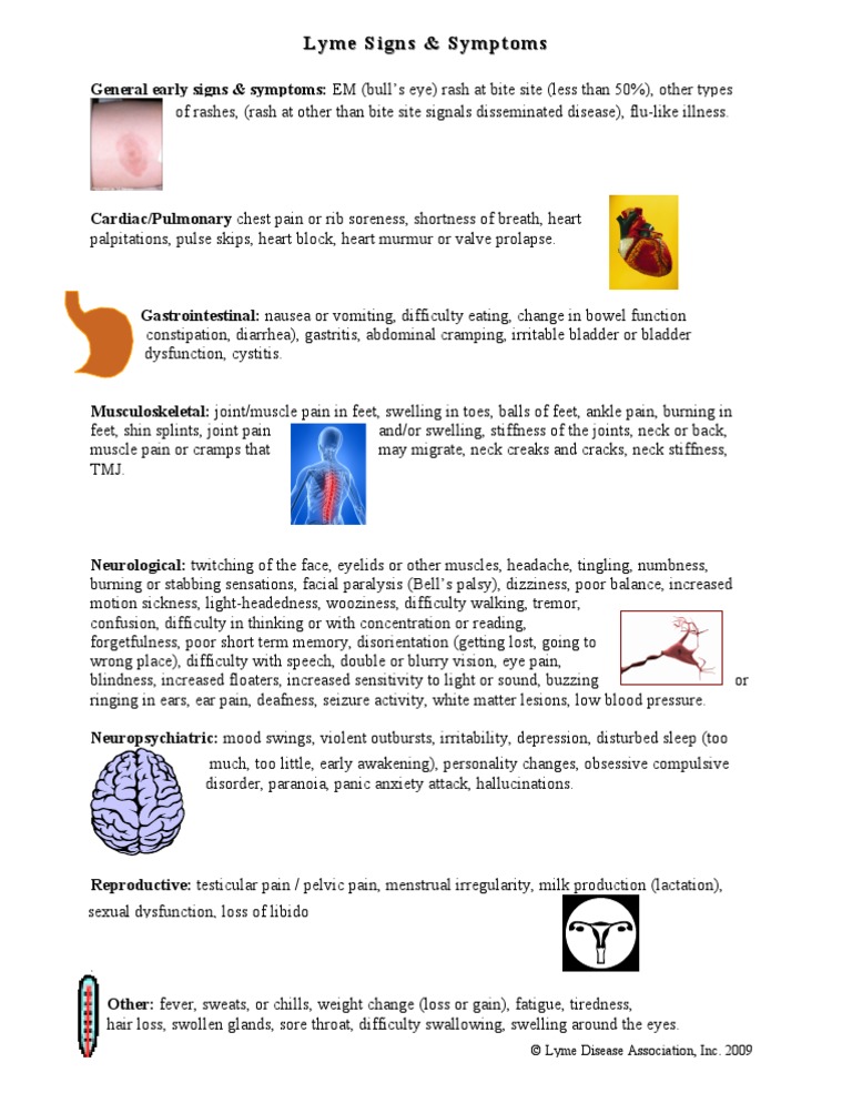 Lyme Signs Symptoms FINAL | PDF | Self-Improvement | Wellness