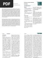 CC Adultos Professores 09