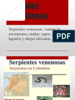 Animales Ponzoñosos