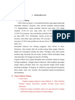 Download Laporan Magang Capsicum Annum-Vina by anon_641059998 SN112521245 doc pdf
