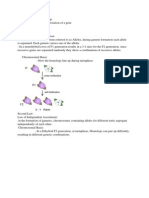 Mendel's Laws