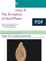 Ch[1]. 30 Plant Diversity II