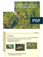 Presentation Doubs Saprolegnia Parasitica