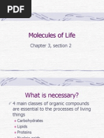 Molecules of Life