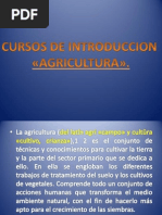 Cursos de Introduccion de La Agricultura. - Copia