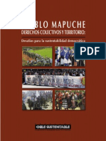 Libro Pueblo Mapuche