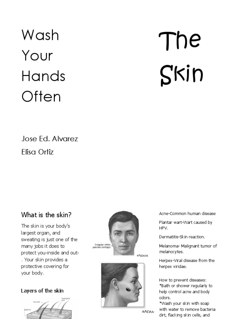 The Skin | PDF | Skin | Epidemiology