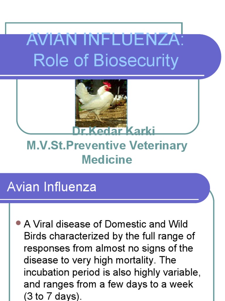 Avian Influenza Role of Bio Security | PDF | Avian Influenza ...