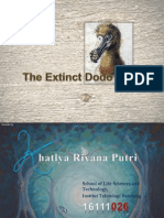 The Extinct Dodo Bird