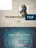 The Extinction of the Dodo Bird