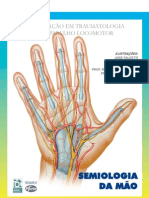 Estudo e Avaliacao Da Mao