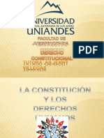 Trabajo de Derecho Constitucional