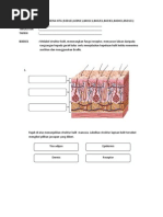 Contoh Resit Rasmi Contoh Resit Rasmi