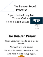 The Beaver Scout Promise Posters