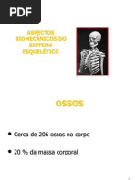 Biomecanica Ossos