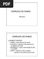 Download Biomecanica de Punho e Mao by Arquivos de Fisioterapia SN112688920 doc pdf