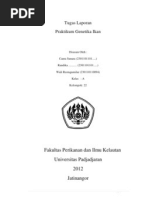 Download Laporan Praktikum Genetika Populasi by Widi Restu Gumelar SN112690861 doc pdf