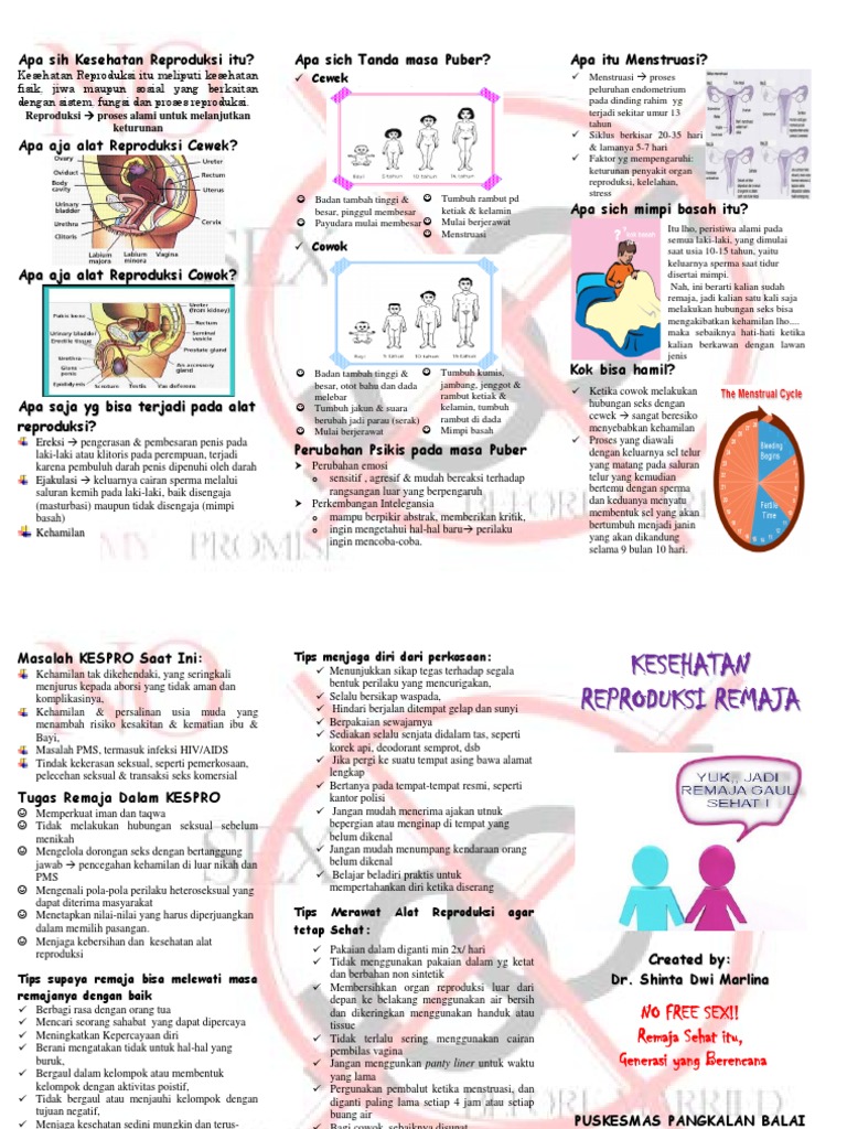 Leaflet Kesehatan Reproduksi Remaja | PDF