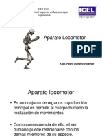 Sistema Óseo Aparato Locomotor