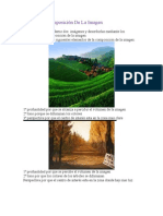 Evaluación Composición De La Imagen