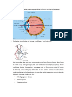 Tugas - Mata