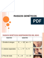 Rasgos Genéticos