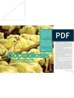 Coccidiosis en Pollos de Engorde. Reporte de Caso, Tunja, Boyacá