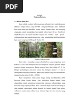 Download Chapter II by Arsyl Cobes SN112775143 doc pdf