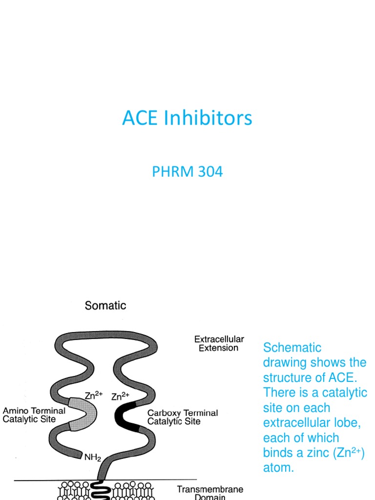 ACE Inhibitor
