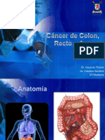 Cáncerde Colon Rectoy Ano