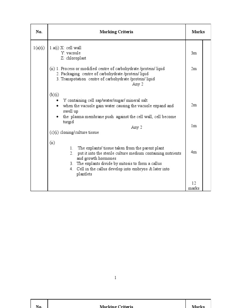 SKEMA KERTAS 2  Lung  Lymphatic System