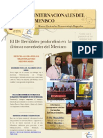 Tratamiento Lesiones Meniscales DR Bernaldez