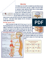 Es#N.M: Es# JTTQ Spinal Cord